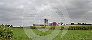 Red Barn in Amish Country