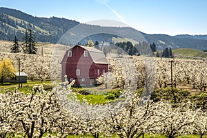 Red barn, apple orchards