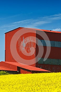 Red barn blue sky and yellow field