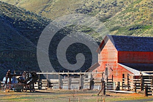 Red Barn and Corrals