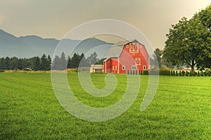 Red Barn Country Farm photo