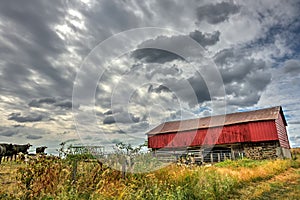 Red Barn in countryside during Autumn