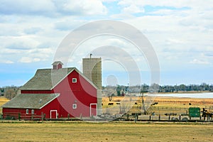 Red Barn with Cows and Encroaching Suburban Homes and Condominiums in the Background photo