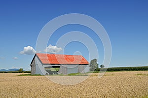 Red barn in the fields