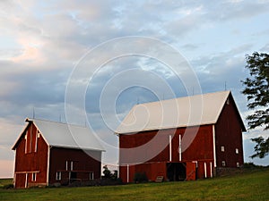 Red barn buildings in western evening sun in Finger Lakes