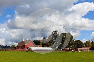 Red Barn on Green Pasture in Oregon