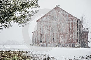 Red Barn and green tree during Winter Snowstorm in Pennsylvania