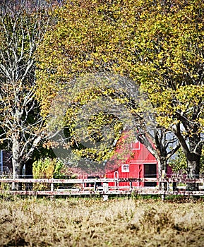 Red barn with horse