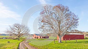 Red Barn in New Zealand photo