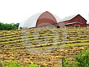 Red barn with round curved roof and just cut hay field