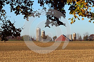 Red barn seen through Tree Leaves