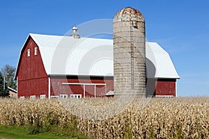 Red Barn, Silo and Corn Field