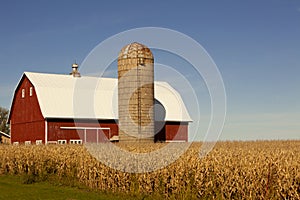 Red Barn, Silo and Corn Field