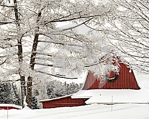 Red Barn with snow covered trees in winter
