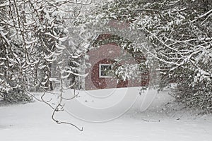 Red Barn in Snow II