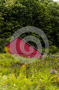 Red Barn in Summer Fields - Western Maryland Mountains