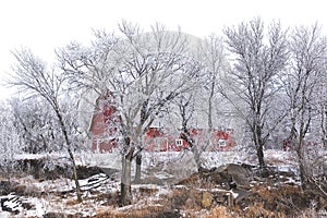 Red barn surrounded by tree covered hoar frost