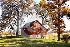 Red barn and tall fall trees
