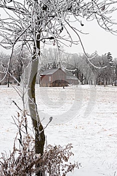 Red Barn and Tree in Rime Frost