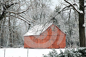 Red barn through the trees and snow