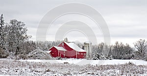 red barn and white silo at edge of field covered in fresh fallen Winter white snow