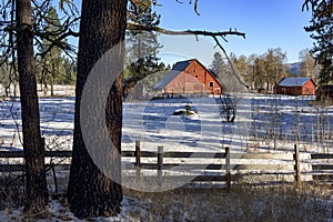 Red barn in winter with pine trees and fence