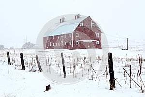 Red Barn in Winter Storm