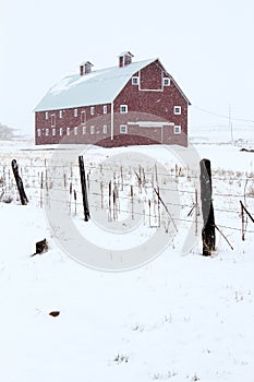 Red Barn in Winter Storm