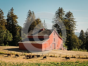 A red barn in Woodside, California