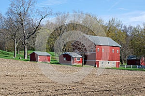 Red barns in spring