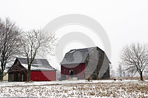 Red barns in winter