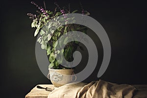 Red Basil Plant on a old wooden Table with fork