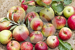 Red basque apples