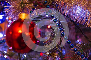 Red bauble on a christmas tree