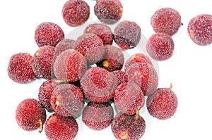 Red bayberry fruits