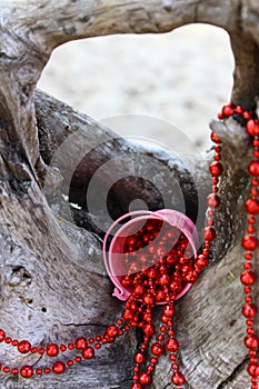 Red beads spread over an old snag