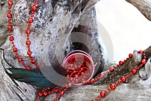 Red beads spread over an old snag