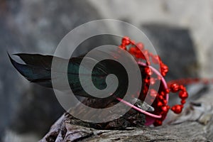 Red beads spread over an old snag