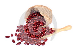 red kidney beans