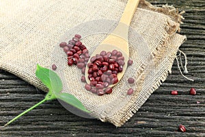 Red Bean on Bamboo Wooden Spoon