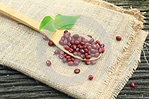 Red Bean on Bamboo Wooden Spoon