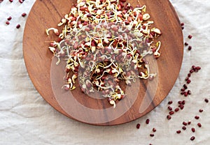 Red bean sprouts on wooden plate.