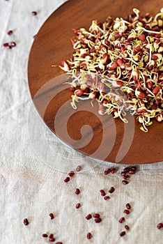 Red bean sprouts on wooden plate.