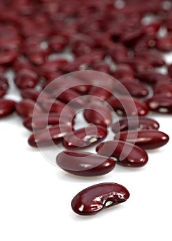 Red Beans, phaseolus vulgaris, Dried Vegetables against White Background