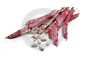 Red beans pods 1