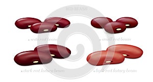 Red beans Seda, small, dark and light kidney isolated on white background. Side view