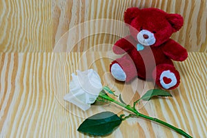 Red bear with white roses flower of love