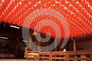 Red and beautiful Chinese lantern