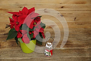 Red beautiful poinsettia with snowman on wooden background with copy space for text. Top view. Christmas and New Year concept