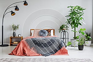 Red bed with patterned blanket between lamp and plants in grey bedroom interior